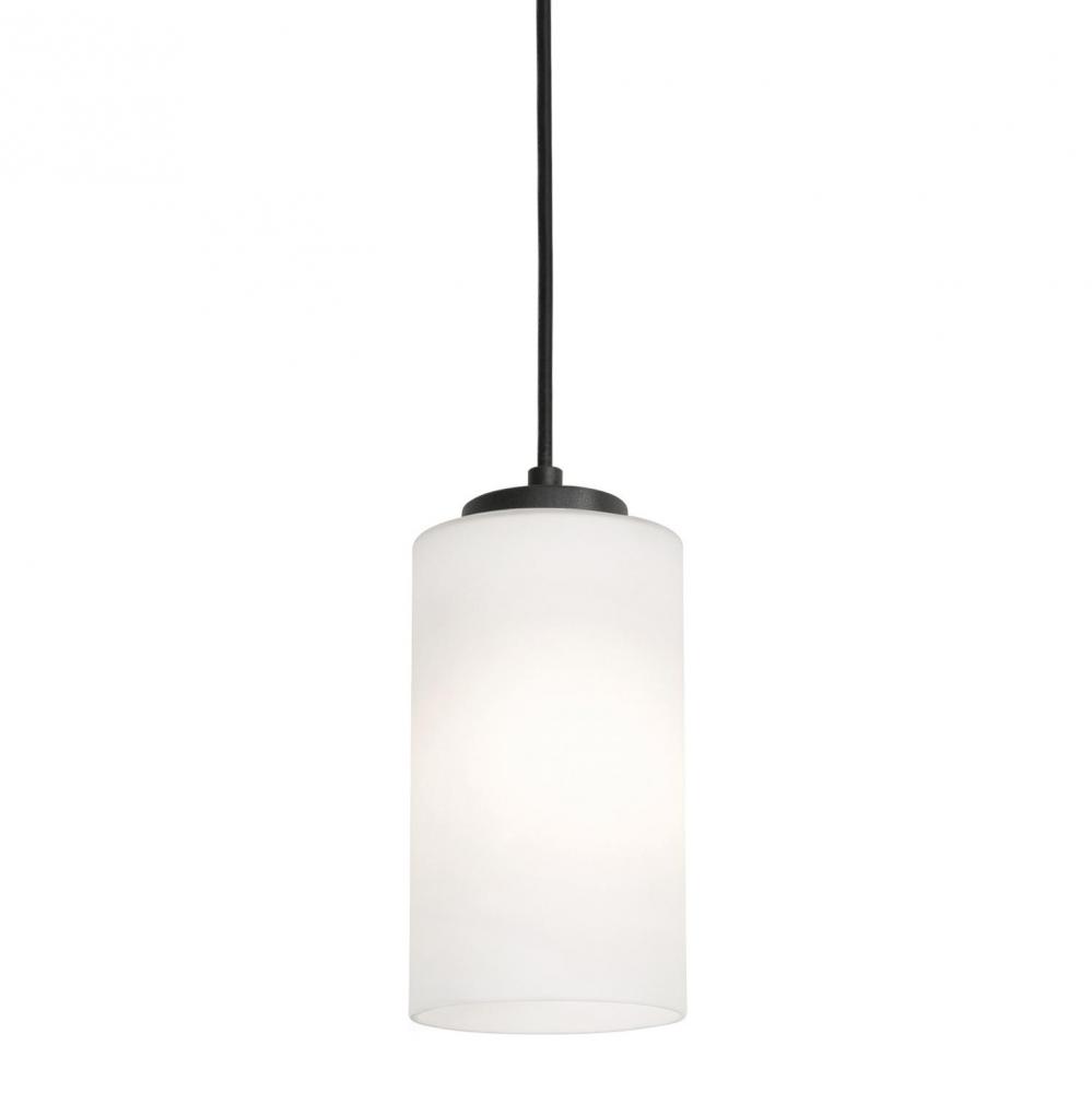 Leo 06&#39;&#39;h Med Base Pendant,120V,BK