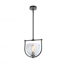 Artcraft AC11741NB - Cheshire Collection 1-Light Pendant, Black & Nickel