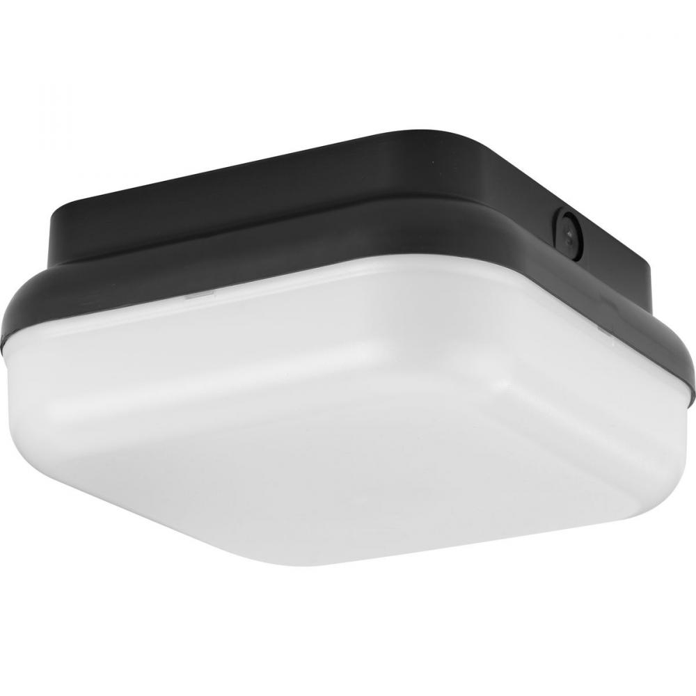 Hard Nox Collection Black  10&#34; Square Flush Mount Light