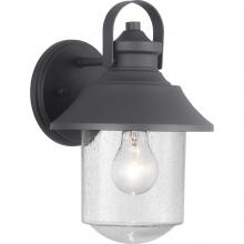  P560120-031 - Weldon Collection One-Light Medium Wall Lantern