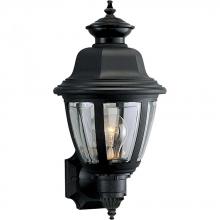 Progress P5737-31 - Non-Metallic Incandescent One-Light Wall Lantern