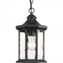 Progress P6529-31 - Edition Collection One-Light Hanging Lantern