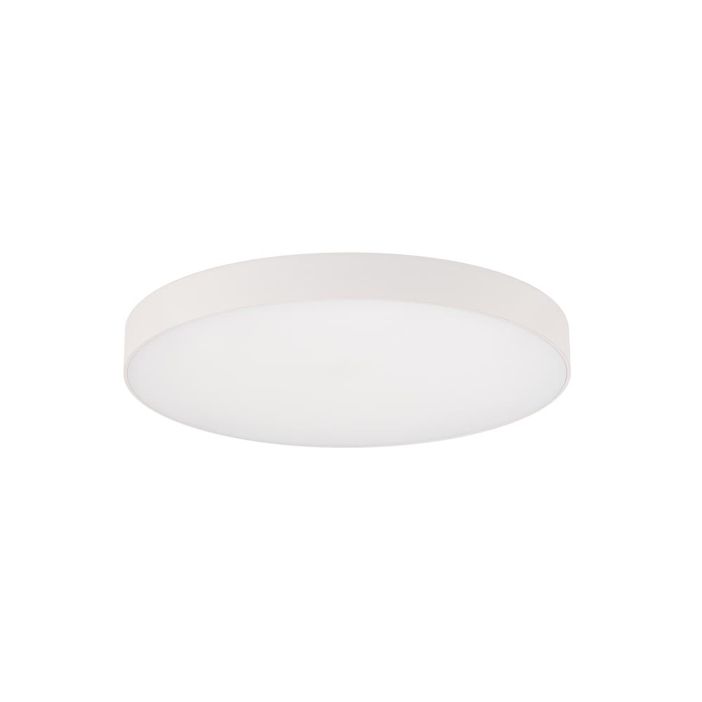 Edgeless 5&#34; Flush Mount 5CCT