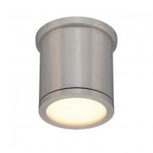 WAC US FM-W2605-AL - TUBE Outdoor Flush Mount Light