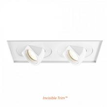 WAC Online MT-5LD225TL-F40-WT - Tesla LED Multiple Two Light Invisible Trim with Light Engine