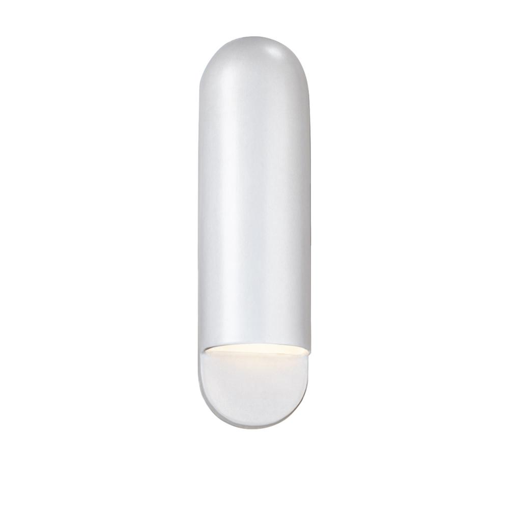 Large ADA Capsule Outdoor Wall Sconce