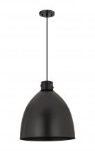 Innovations Lighting 410-1PL-BK-M412-18BK - Newton Sphere - 1 Light - 18 inch - Matte Black - Cord hung - Pendant