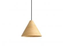 Golden 3988-13 LWA - Conique - 13" Pendant