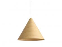 Golden 3988-24 LWA - Conique - 24" Pendant