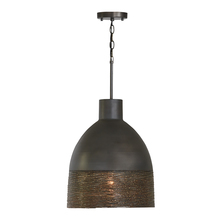  335112GI - 1 Light Pendant