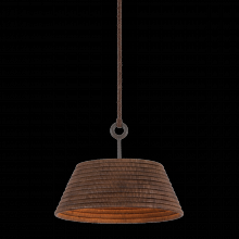 Troy F2824-TBZH - Sequoia Pendant