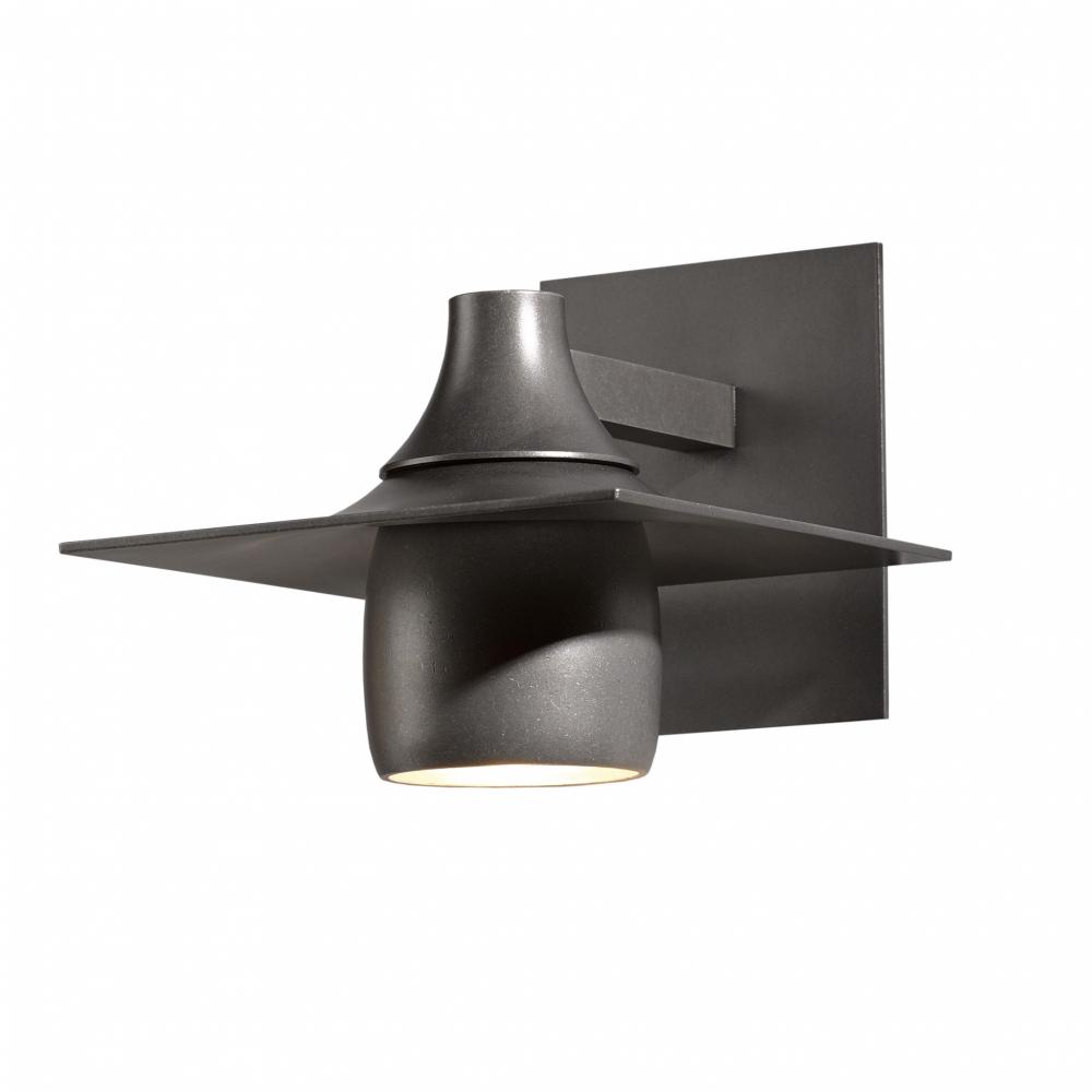 Hood Dark Sky Outdoor Sconce