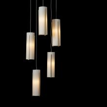 Hubbardton Forge 131124-SKT-STND-86-GG0065 - Exos Glass 5-Light Pendant