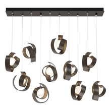 Hubbardton Forge 131208-SKT-STND-05-GG0711 - Riza 10-Light Pendant