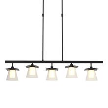 Hubbardton Forge 136605-SKT-LONG-10-ZU0284 - Wren 5 Light Pendant