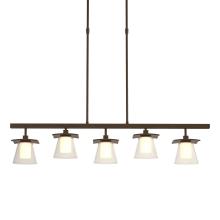 Hubbardton Forge 136605-SKT-STND-05-ZU0284 - Wren 5 Light Pendant