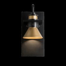 Hubbardton Forge 307716-SKT-10-20 - Erlenmeyer Dark Sky Friendly Outdoor Sconce