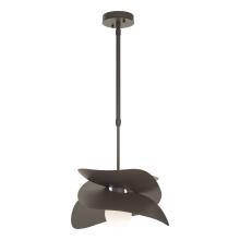 Hubbardton Forge 369455-SKT-STND-77 - Hibiscus Outdoor Pendant