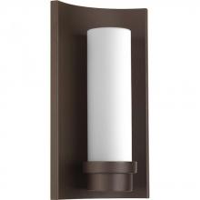 Progress P560030-129-30 - Z-1020 Collection One-Light LED Wall Lantern