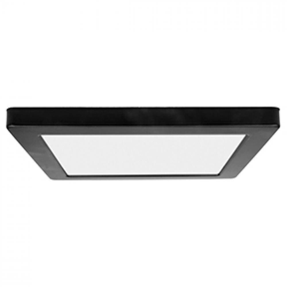 Dual Voltage LED Flush Mount