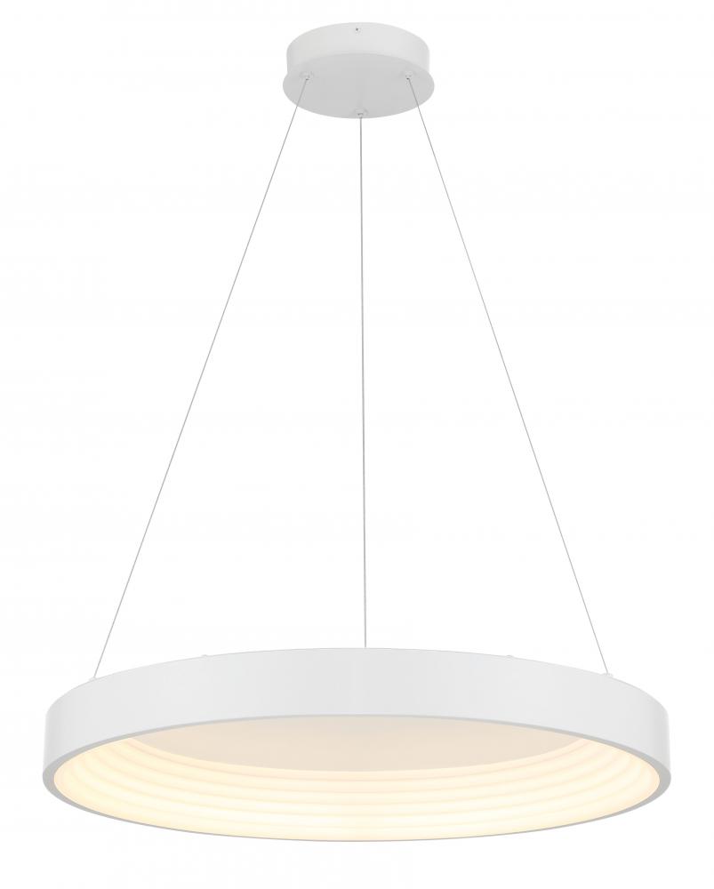 Conc - LED 24&#34; Pendant