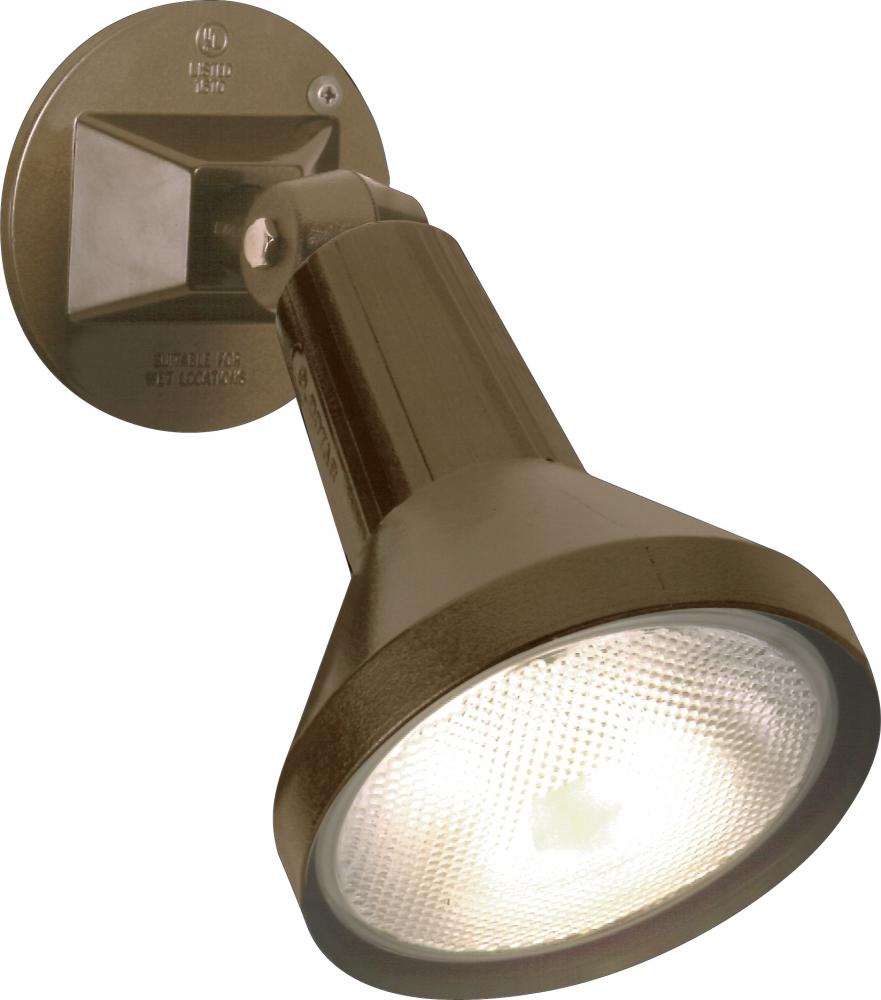 1 Light - 8&#34; Flood Light PAR38 with Adjustable Swivel - Dark Bronze Finish