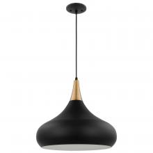 Nuvo 60/7517 - Phoenix; 1 Light; Large Pendant; Matte Black with Burnished Brass