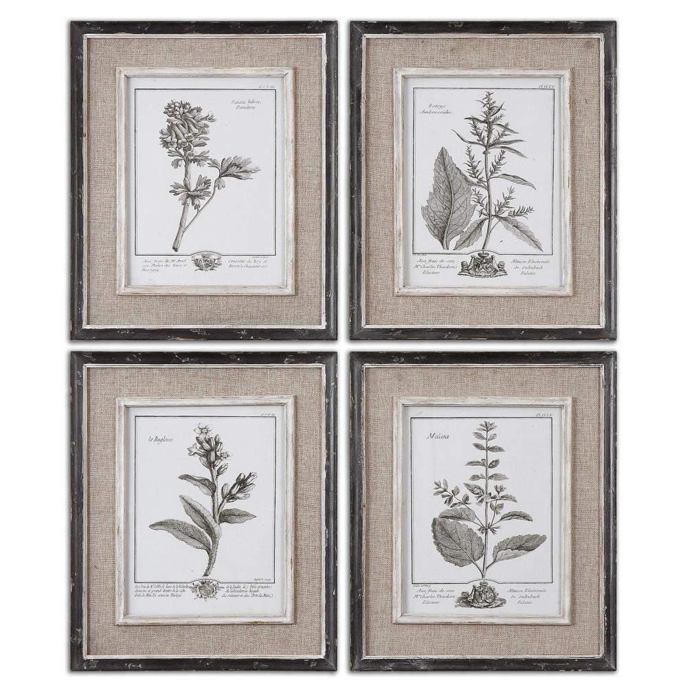 Casual Grey Study Framed Art Set/4