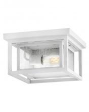 Hinkley 1003TW - Small Flush Mount