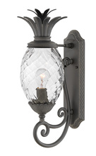 Hinkley 2120MB - Large Wall Mount Lantern