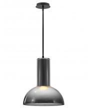 Fredrick Ramond FR41577BK-LL - Large Pendant