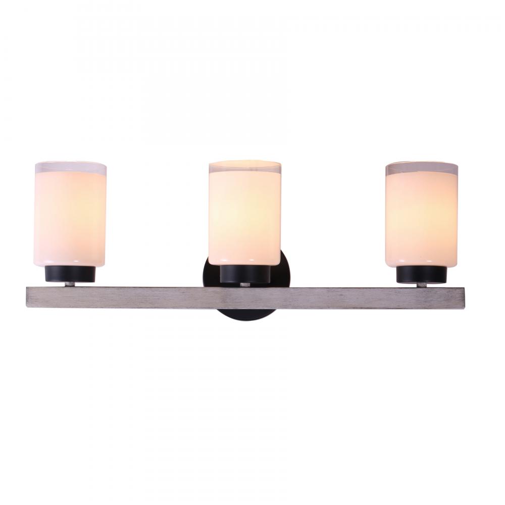 Briggs 24&#39;&#39; Wide 3-Light Vanity Light - Black