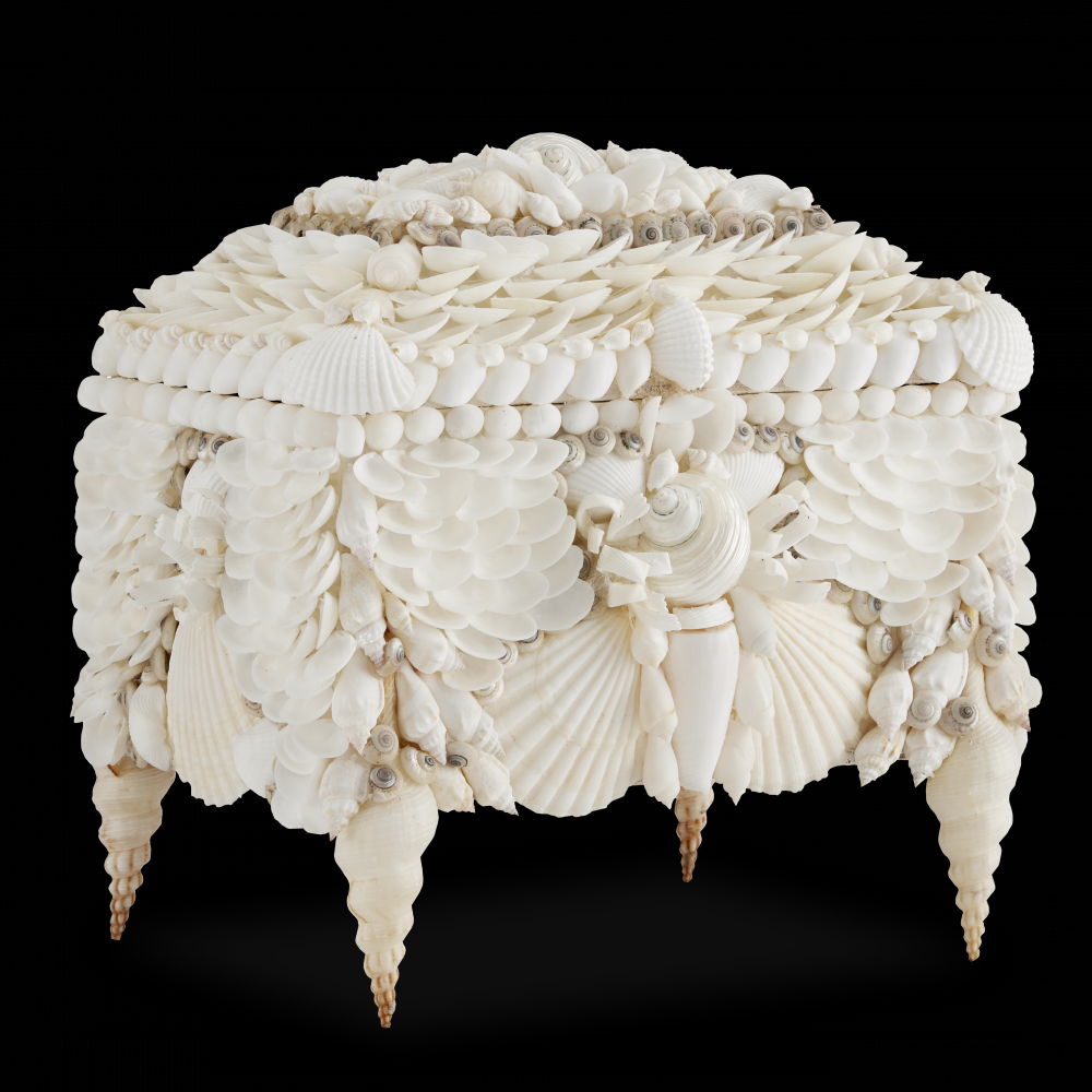 Boardwalk White Shell Jewelry Box